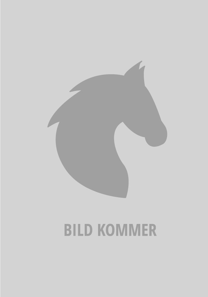 placeholder-hast placeholder-hast